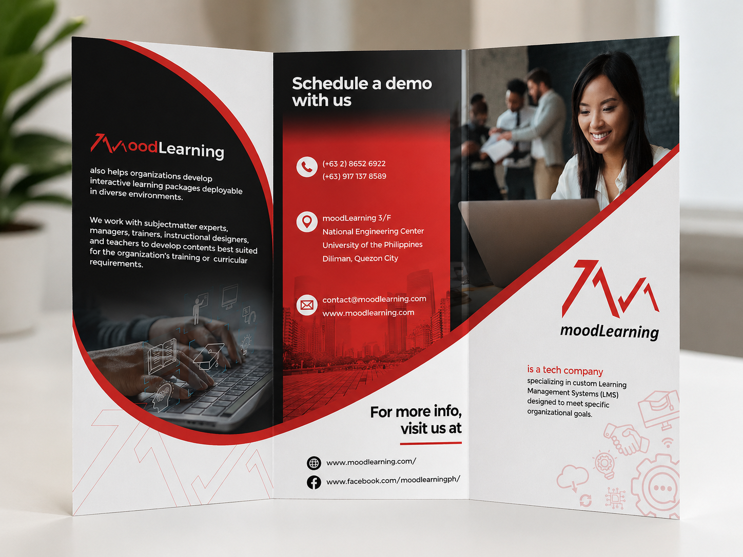 Flyers & Brochures